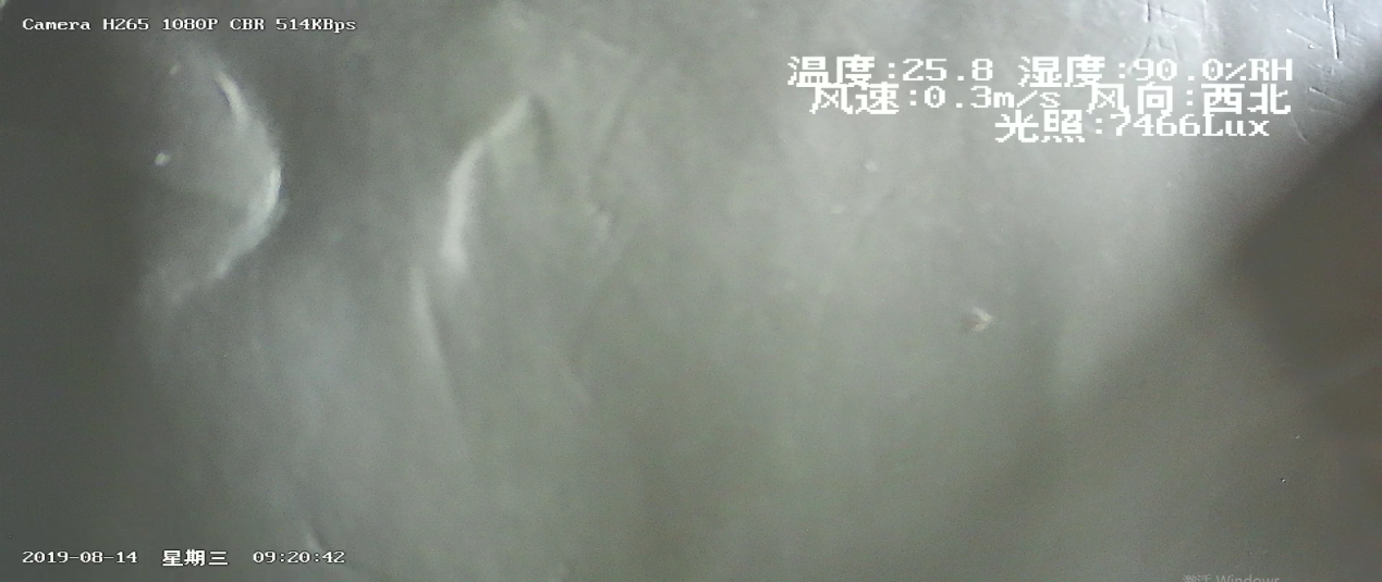 圖片關(guān)鍵詞