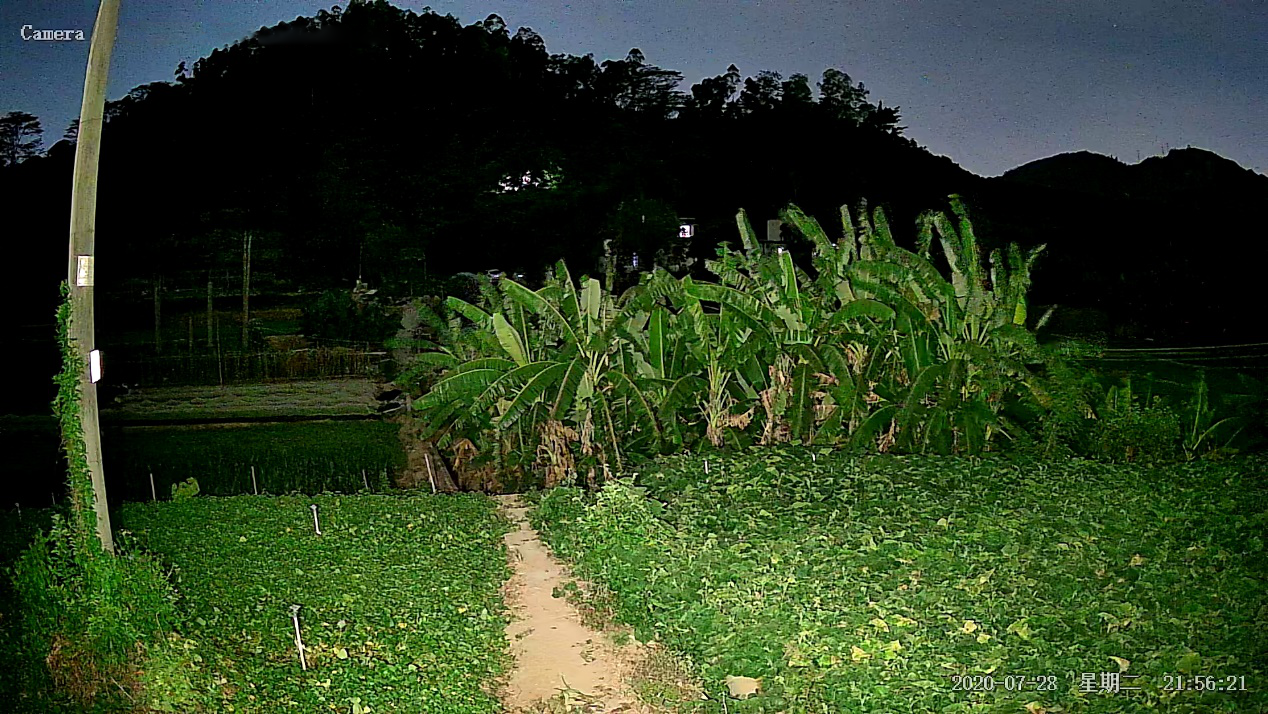 1597401213418250.png 1.png