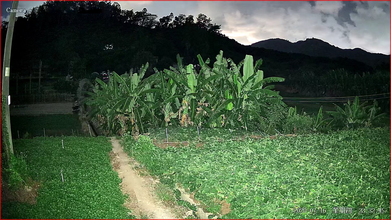 1597401238933695.png 3.png