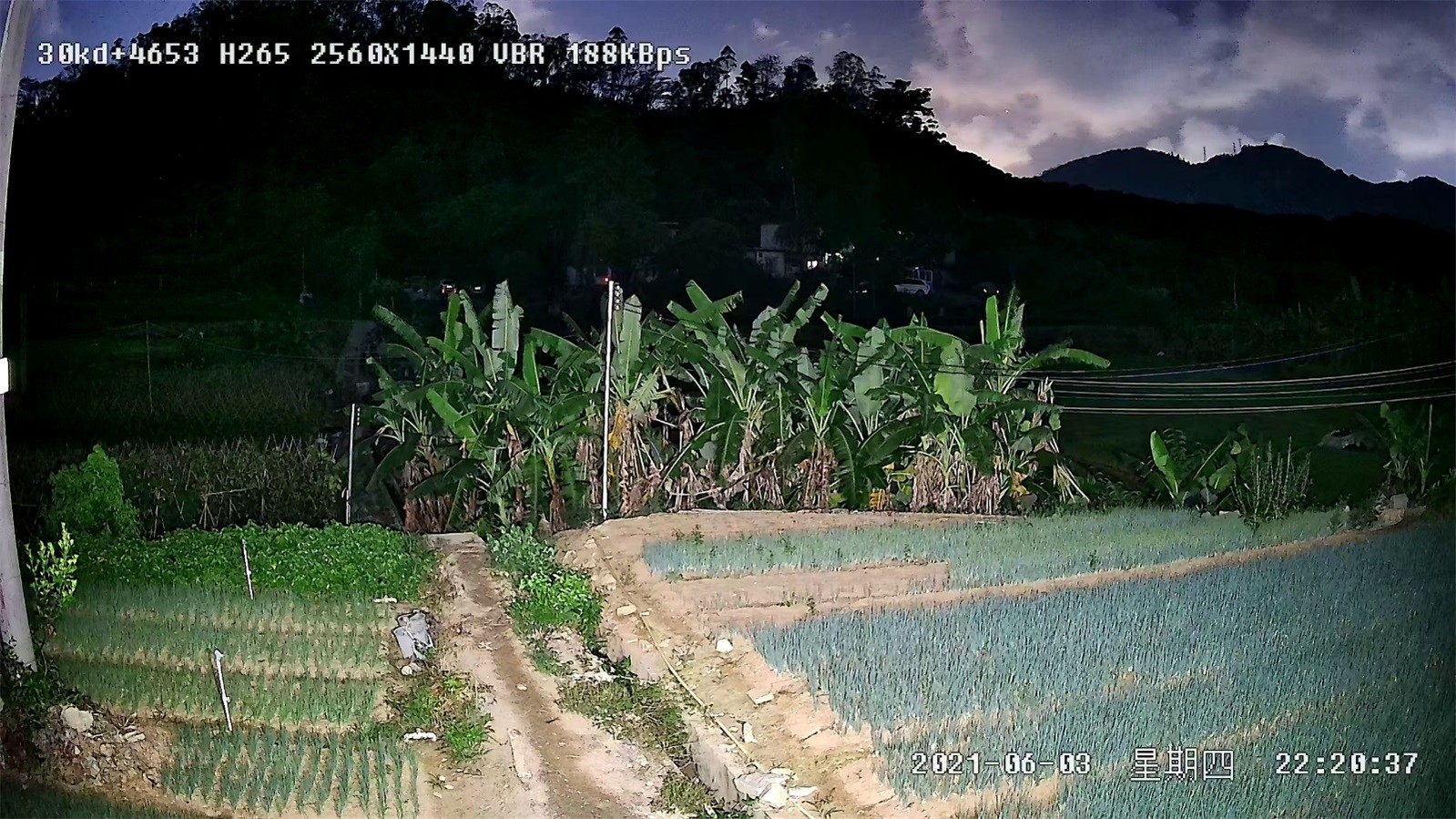 1642664930441980.jpg 圖片22.jpg