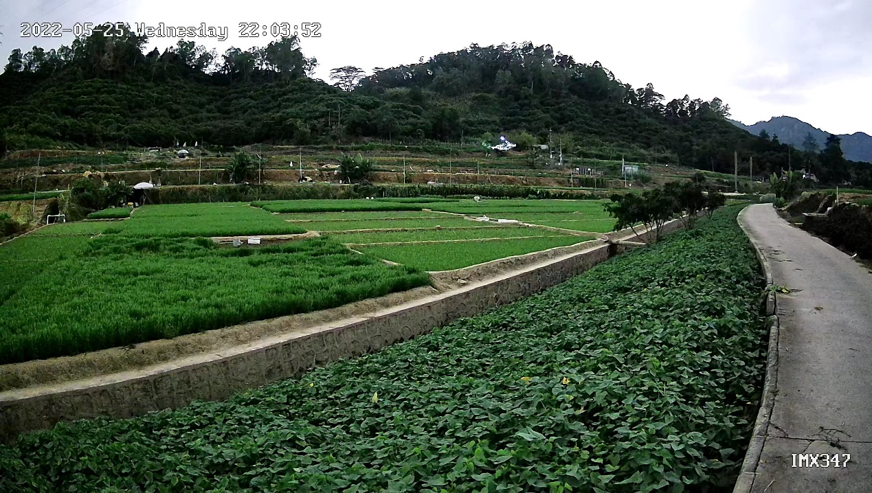 圖片關鍵詞 圖片關鍵詞