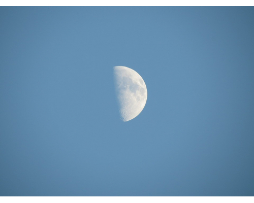 【通知】2019年中秋節放假通知