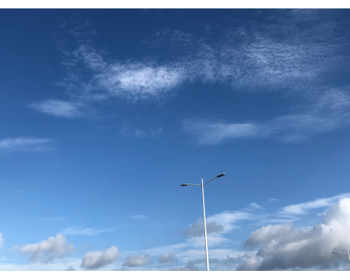 為您解答什么是網(wǎng)絡(luò)攝像機(jī)的IO輸入與輸出