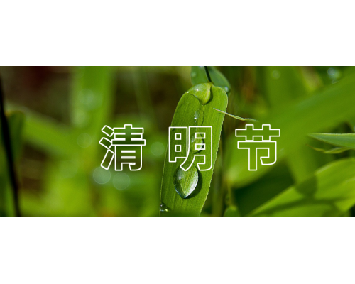 【通知】安佳威視2023年清明節放假通知