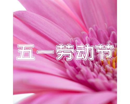 【通知】安佳威視2023年五一勞動節放假通知